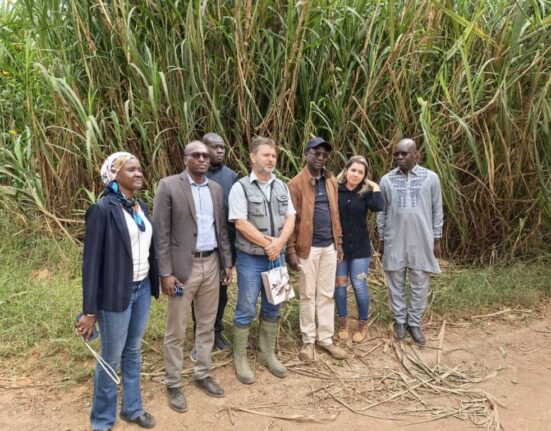 Fazenda Malunga e Senegal fortalecem parceria em prol da agricultura sustentável Rio de janeiro
