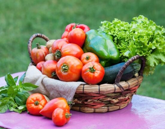 Alimentação orgânica: mais saúde no prato e no bolso Rio de janeiro