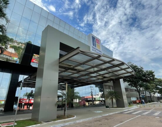 Benefício das abelhas vai muito além do mel Eventos