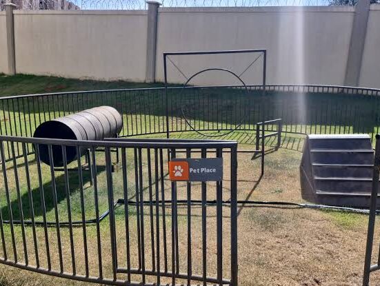 Pets impactam na escolha de moradia das famílias Teatro