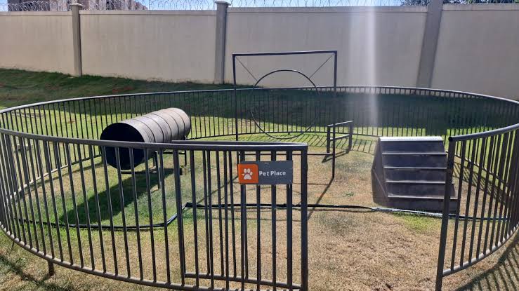 Pets impactam na escolha de moradia das famílias construção