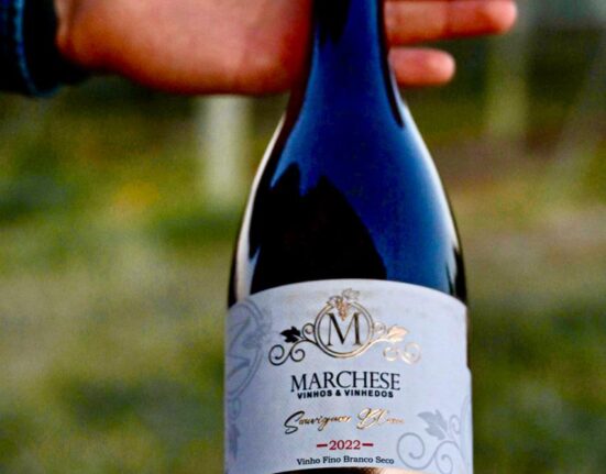 Vinícola de Brasília, premiada mundialmente, desembarca em Goiânia Artes