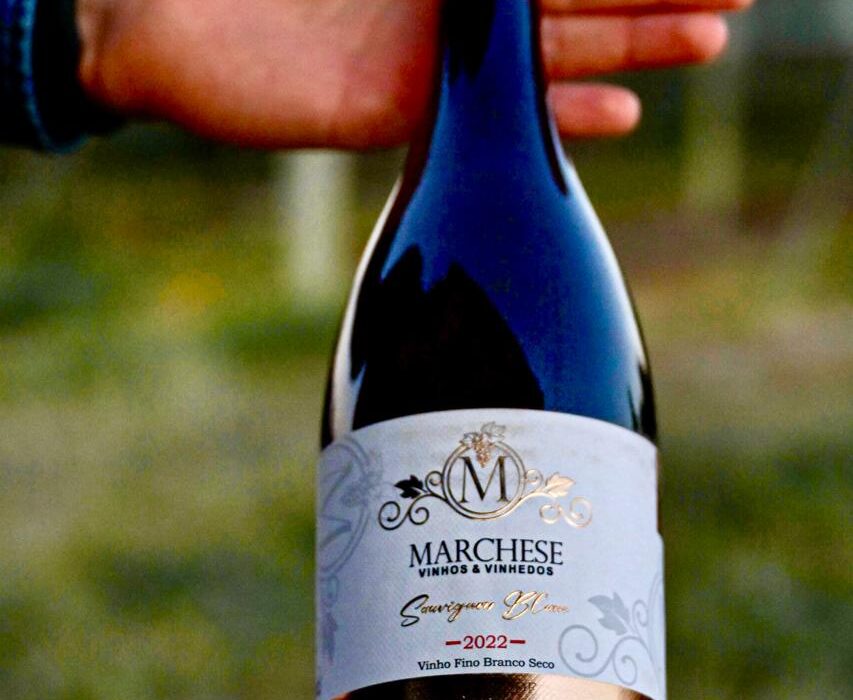 Vinícola de Brasília, premiada mundialmente, desembarca em Goiânia Gastronomia