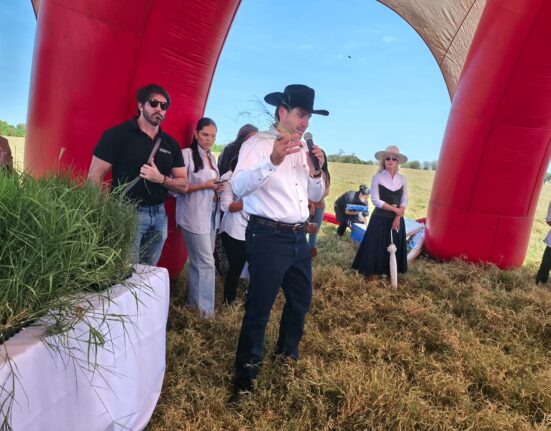 Mulheres pecuaristas participam de dia de campo para conhecer tecnologia de capim plantado por mudas Dicas