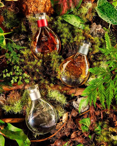 Natura Ekos entra para alta perfumaria com nova coleção que celebra a Amazônia Beleza