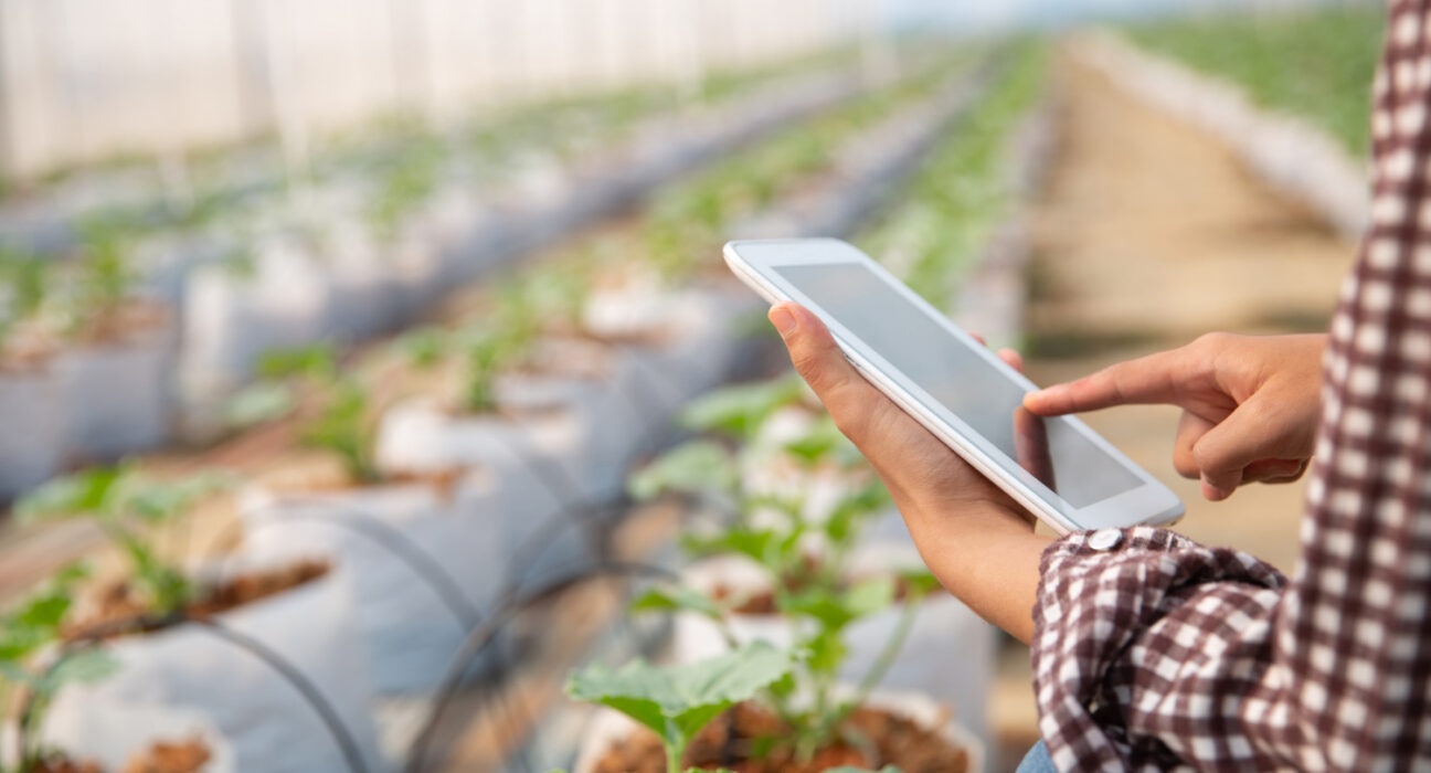 FGR: novamente entre as 1000 maiores empresas do Brasil Notícias