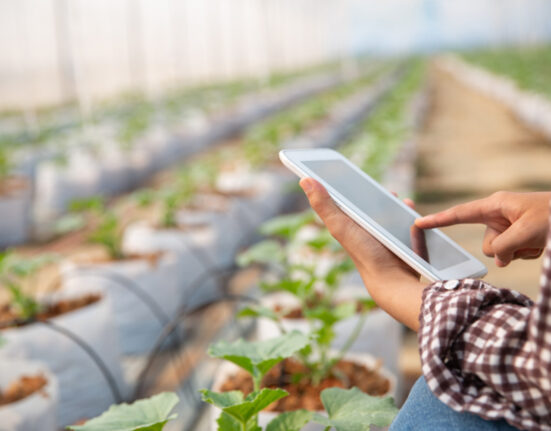 FGR: novamente entre as 1000 maiores empresas do Brasil Turismo