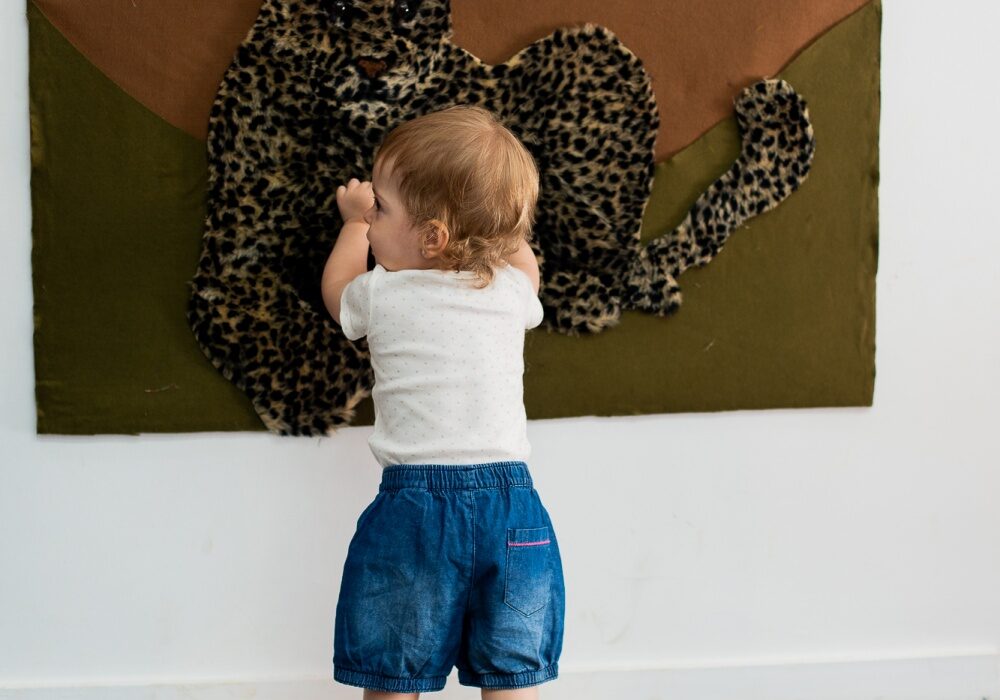 Primavera dos Museus no CCBB Brasília: território, afeto e futuro em foco Cultura