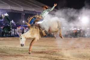 Henrique & Juliano emocionam 60 mil pessoas em noite de surpresas no Itaquá Rodeio Fest Música