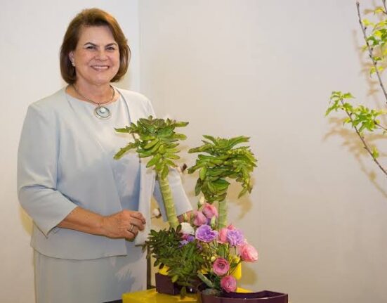 Brasil comemora primeiro Dia Nacional da Ikebana dança
