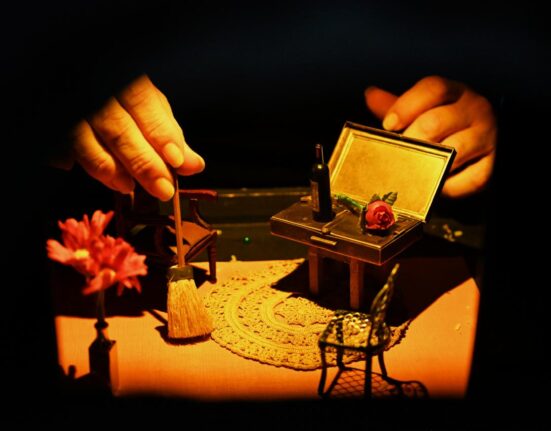 Festival Vibrar 2025 vai transformar o Parque da Cidade Dona Sarah Kubitschek Notícias