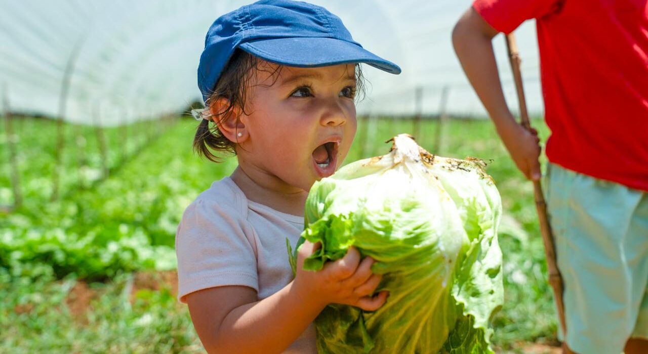 Agroturismo estimula o desenvolvimento infantil por meio da vivência com a natureza agro
