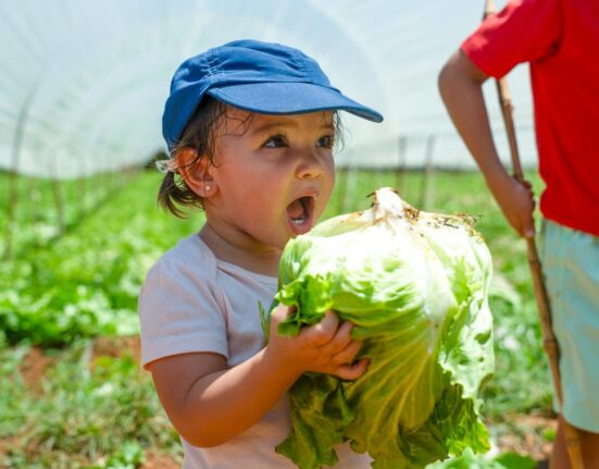 Agroturismo estimula o desenvolvimento infantil por meio da vivência com a natureza Rio de janeiro
