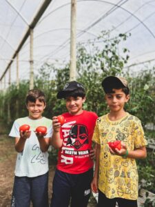 Agroturismo estimula o desenvolvimento infantil por meio da vivência com a natureza agro