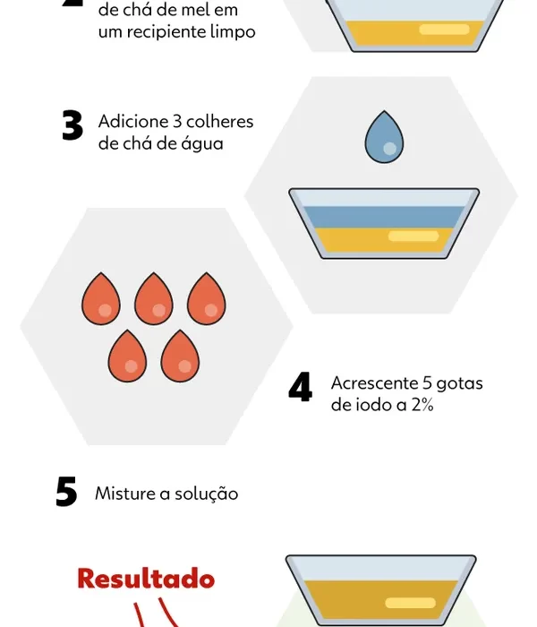 Verdadeiro ou falso: organizador da Estação Mundo do Mel dá dicas sobre qualidade do mel Gastronomia