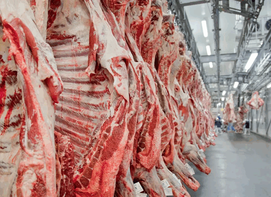 Brasil consolida posição como potência global na exportação de carnes, mas desafio segue sendo agregar valor ao produto, alerta especialista Cultura
