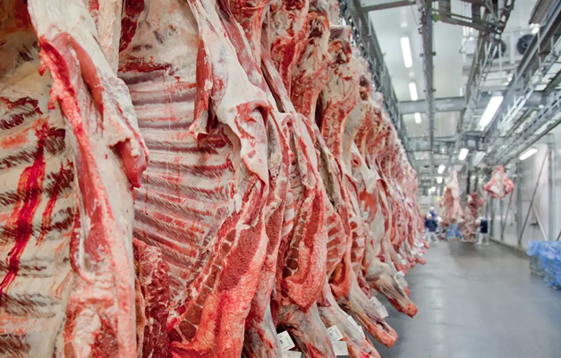 Brasil consolida posição como potência global na exportação de carnes, mas desafio segue sendo agregar valor ao produto, alerta especialista agro