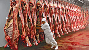 Brasil consolida posição como potência global na exportação de carnes, mas desafio segue sendo agregar valor ao produto, alerta especialista agro