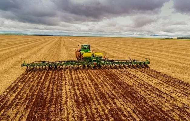 Margens apertadas tornam arrendamento para soja inviável e produtores rompem contratos, alerta consultor financeiro agro