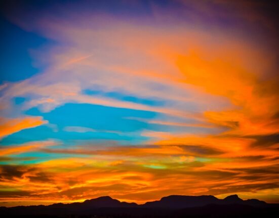 Cerrado Sagrado: exposição fotográfica reverte 100% das vendas para a recuperação do Cerrado campanha solidária