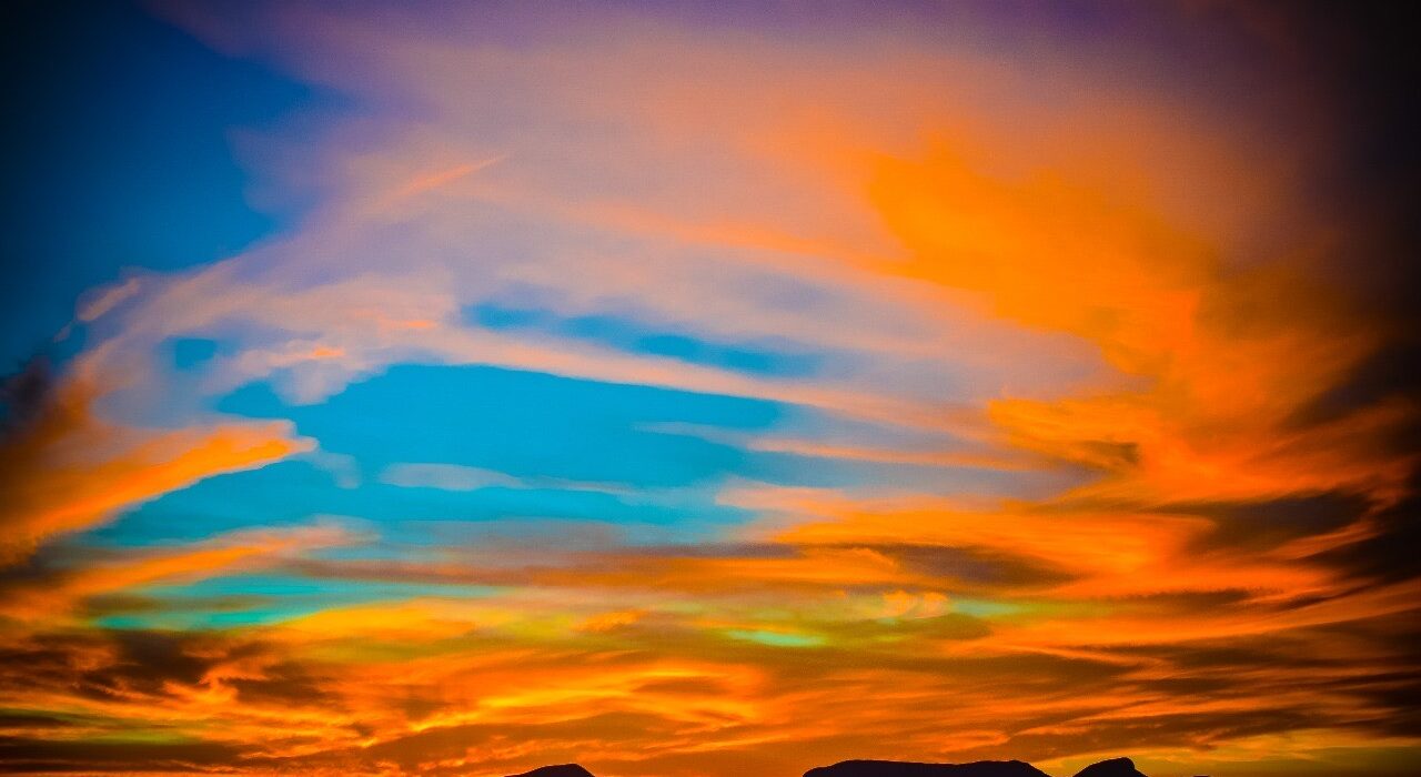 Cerrado Sagrado: exposição fotográfica reverte 100% das vendas para a recuperação do Cerrado Exposição