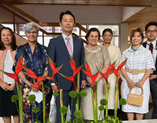 Mostra de ikebana celebra 130 anos de amizade entre Brasil e Japão Artes