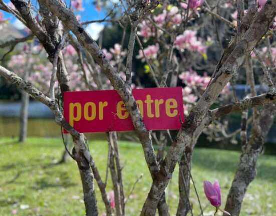 CCBB Brasília tem dia de jogos para criar, brincar e pertencer Artes