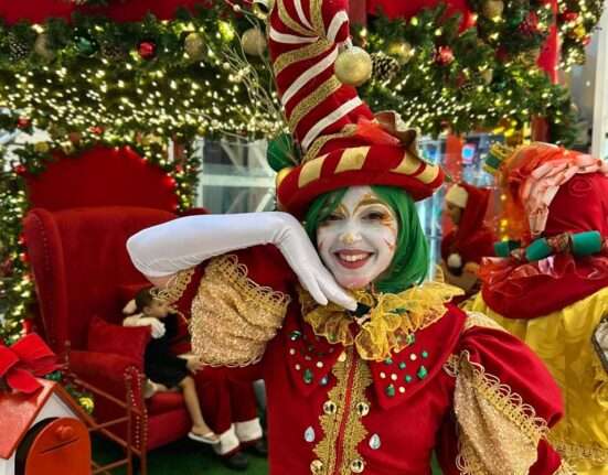 Natal de Encantos ilumina o Alameda Shopping Rio de janeiro