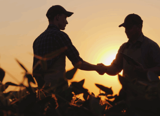 Inviabilidade da soja reacende debate sobre rompimento de contratos de arrendamento rural Rio de janeiro