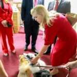 Advocacia Animal Experience 2025 Rio de janeiro