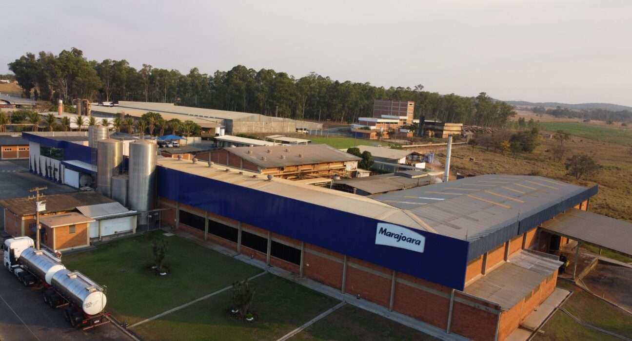 Leite sem lactose é nutritivo? Saúde