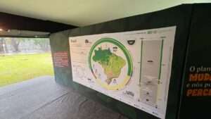 Zoológico de Brasília lança programação especial das “Férias Animadas” com experiências imersivas, cinema ao ar livre e atrações para toda a família Dicas