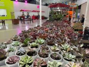 Shopping Estação Goiânia une dois de seus clássicos eventos para trazer mais cor e sabor para a vida dos goianos Dicas