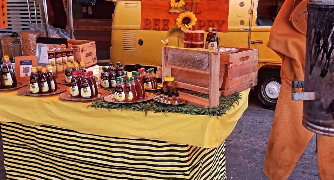 Shopping Estação Goiânia une dois de seus clássicos eventos para trazer mais cor e sabor para a vida dos goianos Natal