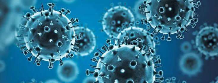 Subtipo K: médica explica impactos de vírus que pode chegar mais cedo ao Brasil Saúde