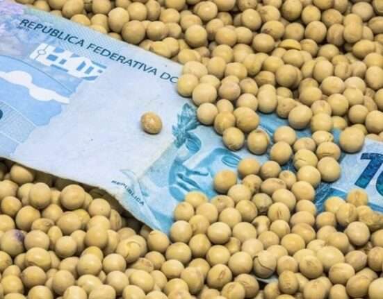 Juros altos e risco fiscal colocam produtor rural à beira do colapso, aponta especialista Rio de janeiro