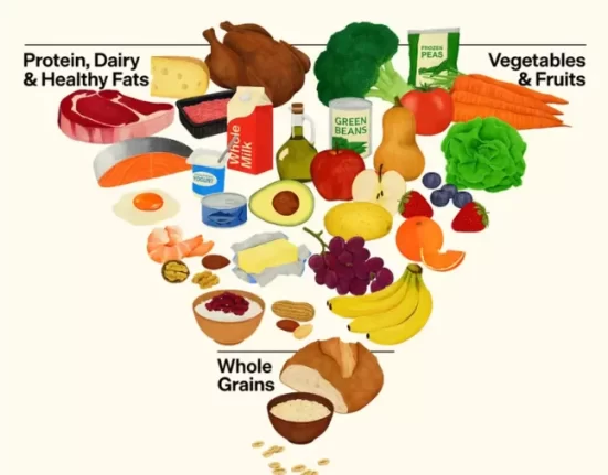 Mudança nas diretrizes alimentares reacende debate no Brasil sobre digestão lenta e estabilidade metabólica Gastronomia