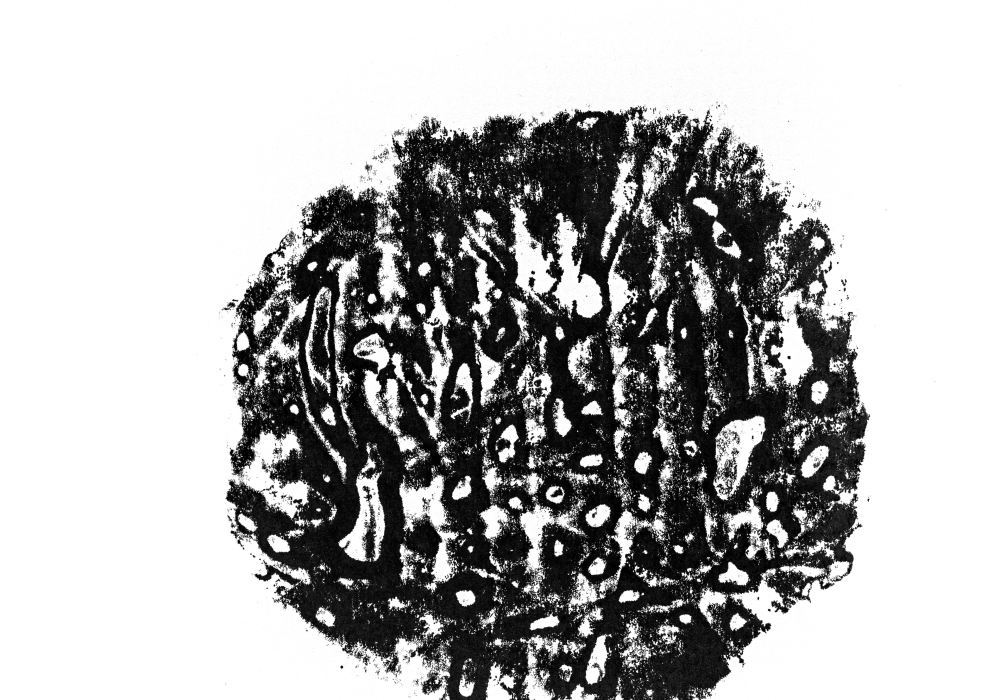 Renata Weber lança O Ano Um, um livro-objeto que une texto, imagem e som na DeCurators Cultura