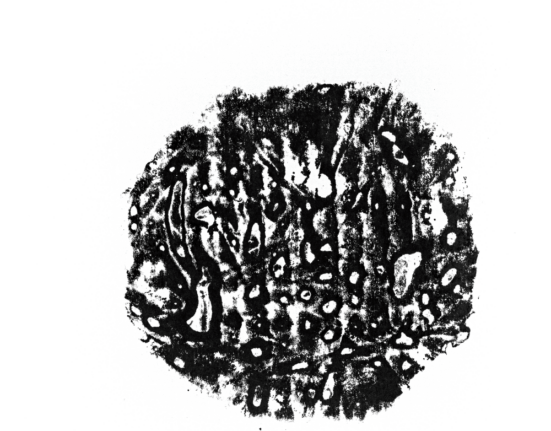 Renata Weber lança O Ano Um, um livro-objeto que une texto, imagem e som na DeCurators Notícias