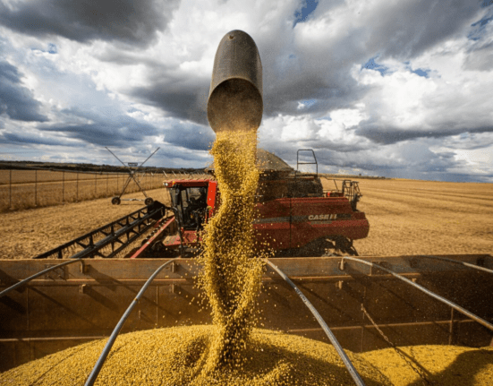 Soja mantém preço firme mesmo com safra recorde no Brasil e nos Estados Unidos agro