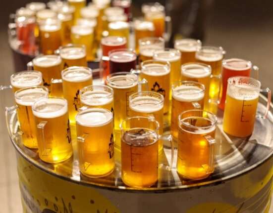 Bloquinho aposta em cervejas especiais goianas como diferencial no Pré-Carnaval de Goiânia Rio de janeiro