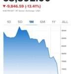 A Ilusão Monetarista Rio de janeiro