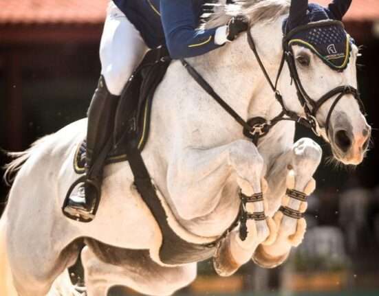 CNS Copa de Verão 2026 abre calendário de hipismo de salto da Federação Hípica de Brasília Esporte