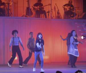 Musical revisita sucessos, histórias e a genialidade da artista que revolucionou a música brasileira Música