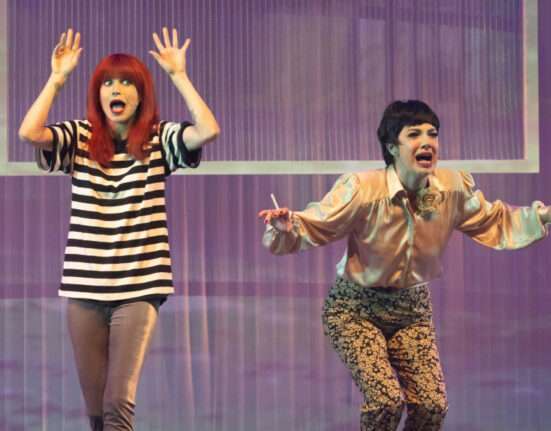 Musical revisita sucessos, histórias e a genialidade da artista que revolucionou a música brasileira Economia