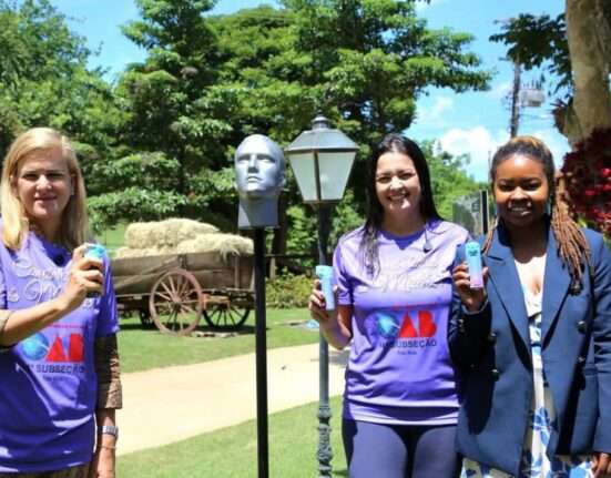 OAB de Três Rios promove evento pelo Dia Internacional da Mulher Rio de janeiro