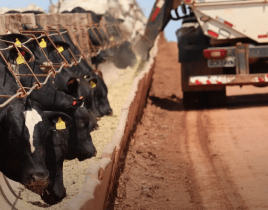Falta de mão de obra no campo impulsiona adoção de tecnologia no manejo nutricional da pecuária Geral