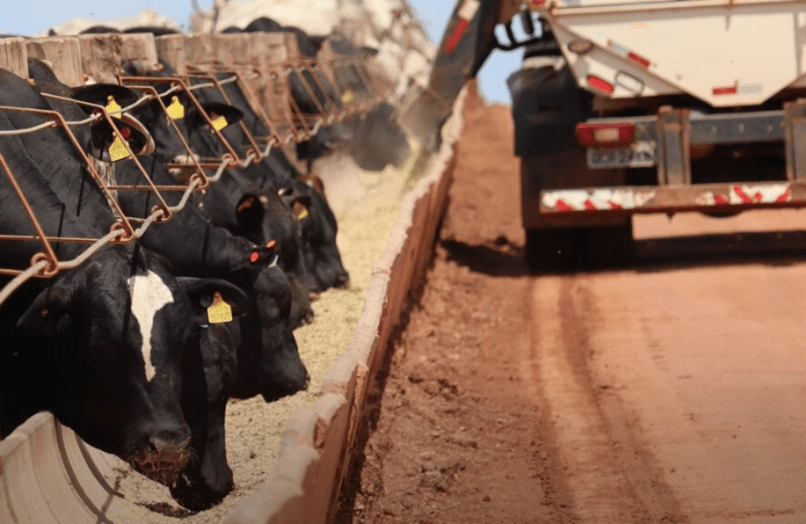 Falta de mão de obra no campo impulsiona adoção de tecnologia no manejo nutricional da pecuária Geral