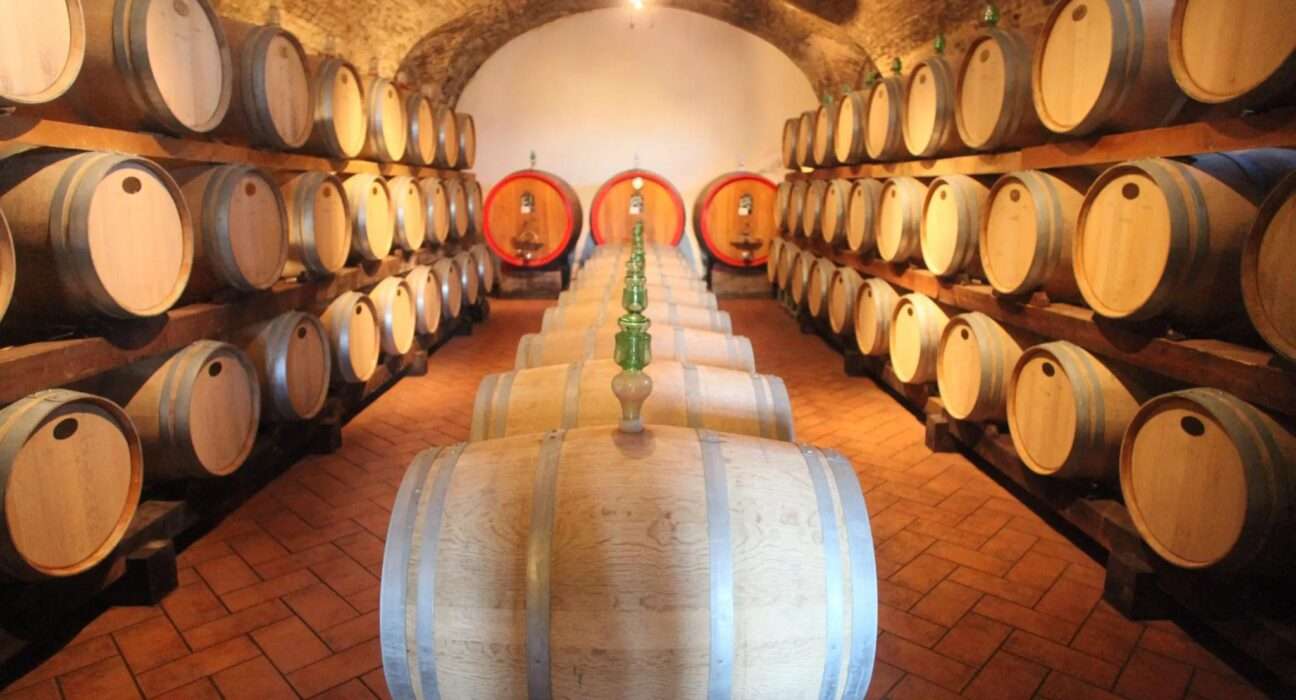 Setor vitivinícola italiano celebra aprovação do acordo UE-Mercosul pelo Senado Gastronomia