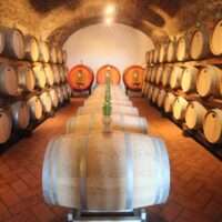 Setor vitivinícola italiano celebra aprovação do acordo UE-Mercosul pelo Senado Colunismo Social